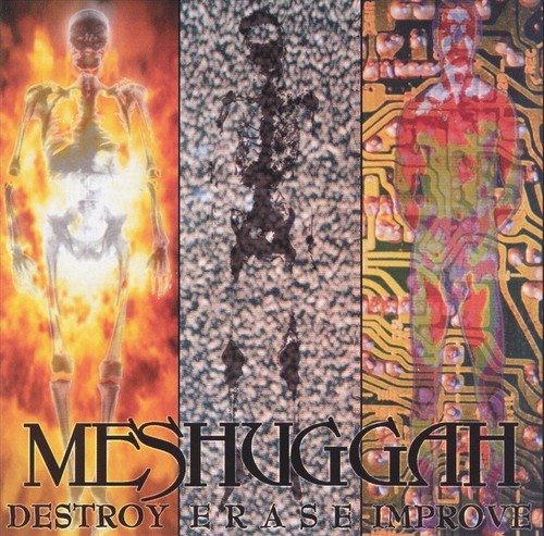Meshuggah destroy erase - ,