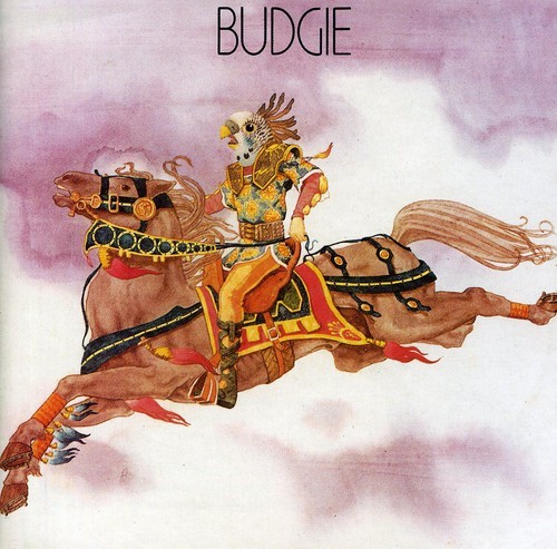 Budgie new - budgie, bonus