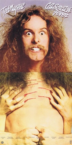 Ted nugent cat scratch fever - "cat, fever"